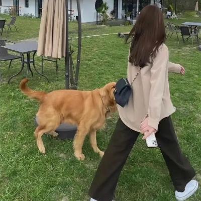拳王梦