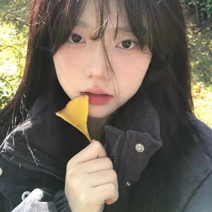 爱情合众国